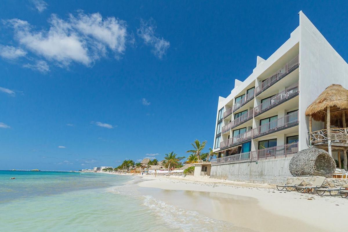 Itb Luxury Apartment On The Beach Near To 5Th Ave Плая дел Кармен Екстериор снимка